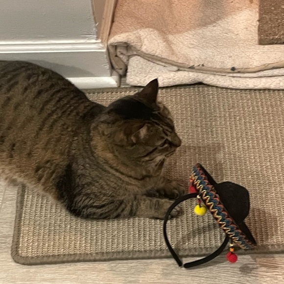 Meet your Posher, Kari - Picture 5 of 6